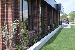 Commercial landscape 2