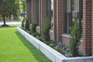 Commercial landscape