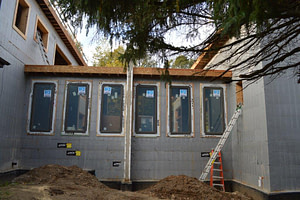 Window 5